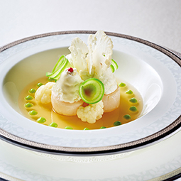 帆立貝のショーフロワー仕立て カリフラワーのムースと季節の根菜サラダ