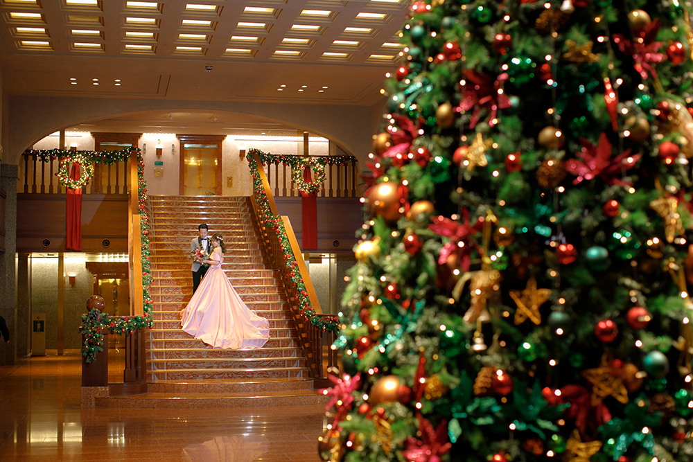 12/3(水)～12/8(月)